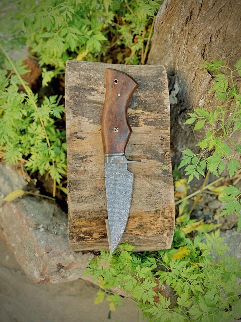 The Wilderness Elegance: 10-Inch Hunting Knife with Damascus Steel Bla –  KBS Knives Store