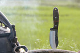 Close-up of RidgeHunter 4.5-inch high-carbon steel blade for tactical use