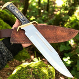 Best Bowie knife showcasing the full tang D2 steel blade with blood groove.