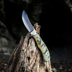 Best Deer Skinning Knife for Precision and Durability