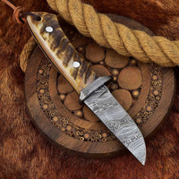 High-quality skinning knife with razor-sharp Damascus blade and sheep horn handle, ideal for deer skinning.
