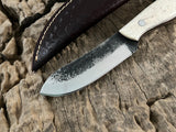 WildEdge 8-inch bushcraft knife with high-carbon steel blade and bone handle