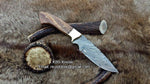 "Timber Strike" 9-Inch Damascus Fixed-Blade Hunting Knife with Rosewood Handle
